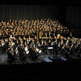 Musiker und Sänger